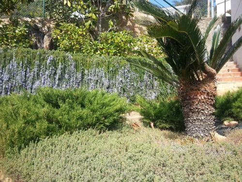 Apartamento Oasis