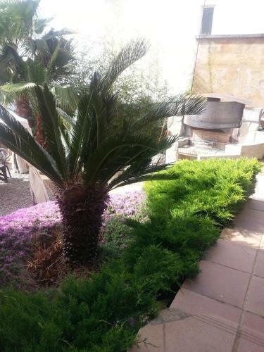 Apartamento Oasis