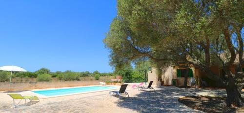 Villa Els Ullastres