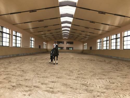 Agroturismo Vmg Horse Ranch