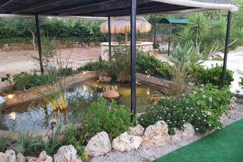 Mallorca Llucmajor - 269015