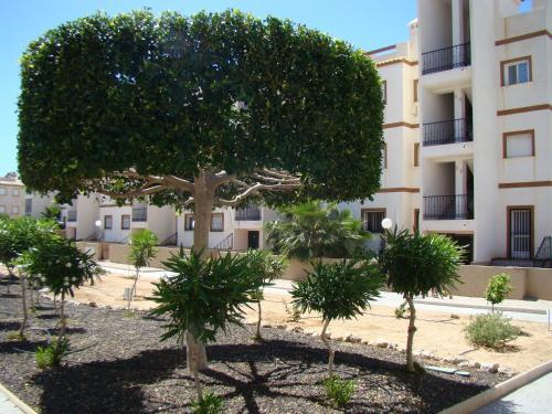Ground Floor Apartment With Garden