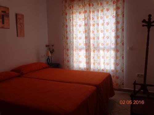 Apartamento Vivir En Ca�os