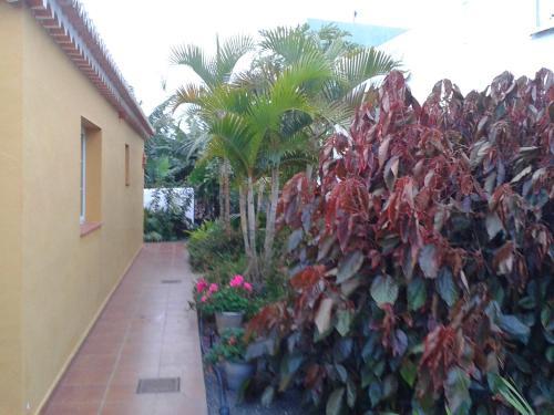 Papaya Houses II