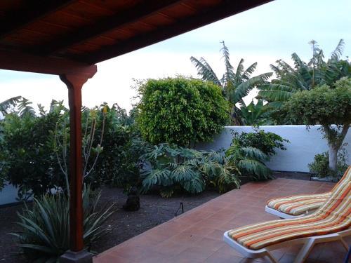 Papaya Houses II