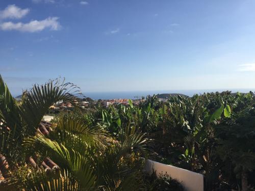 Papaya Houses