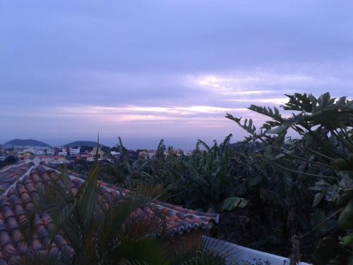 Papaya Houses