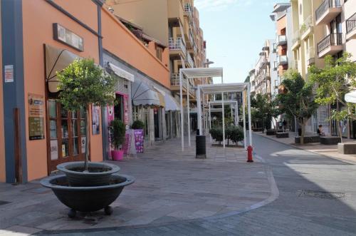 Apartamento Sauco