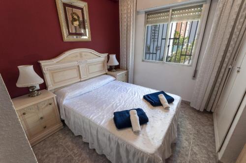 Apartamento Canela