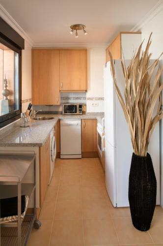 Apartamento �tico Lujo Nautilus II