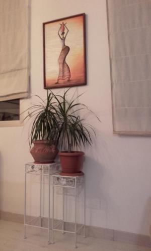 Apartamento Studio Av. De A Coruna