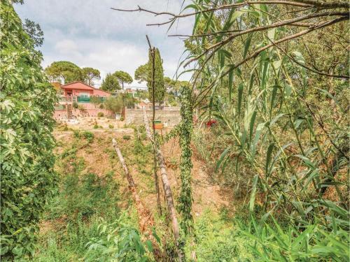 Seven-bedroom Holiday Home In Macanet De La Selva