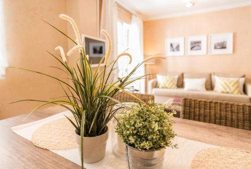 Apartamento La Latina Sensational