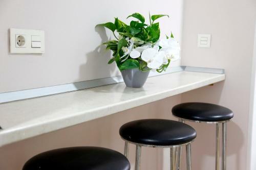 Apartamento Roomalaga Pe�a