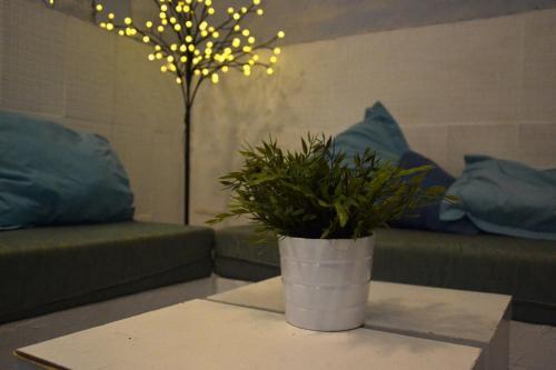 Albergue The Lights Garden
