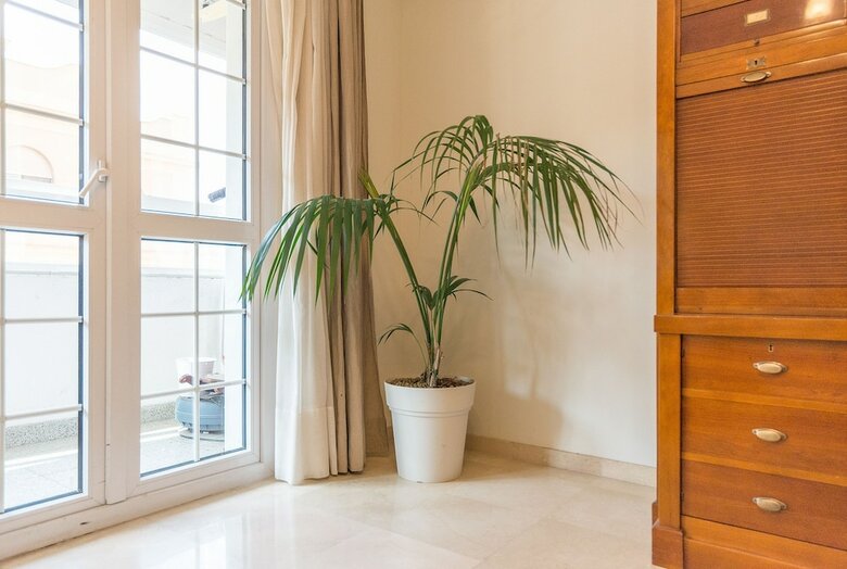 Apartamento Soho Centro 3 Dormitorios
