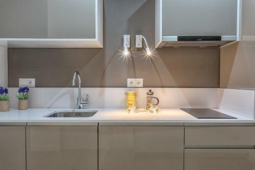 Two-bedroom Apartment Pinzon