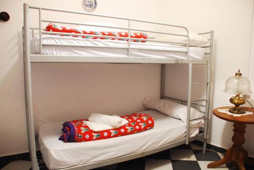 Bed & Breakfast Hostel Patio 19