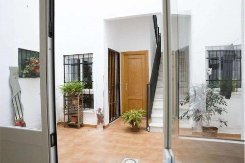 Apartment Little Tribuna