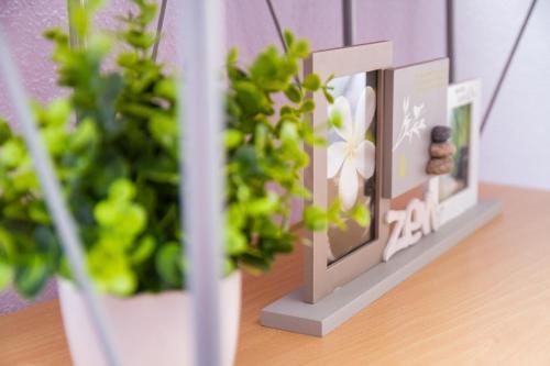 Apartamento Colourful & Cosy Flat With Parking