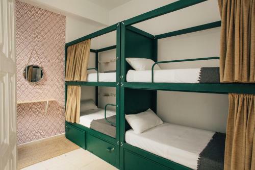The Urban Jungle Hostel