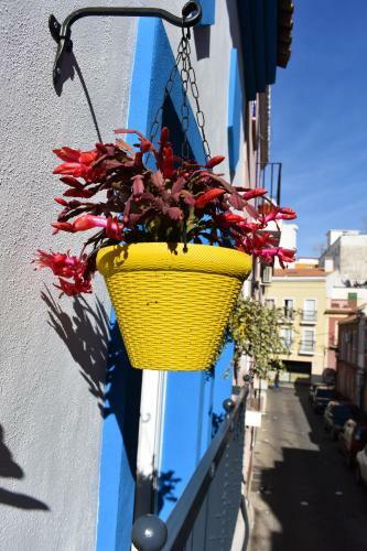 Casa Al Sur Apartments