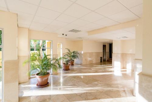Apartamento Estudio Candado