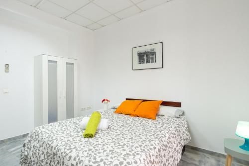 Apartamento Larios Centro Historico Parking Gratis