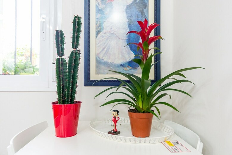 Apartamento Olletas Studio