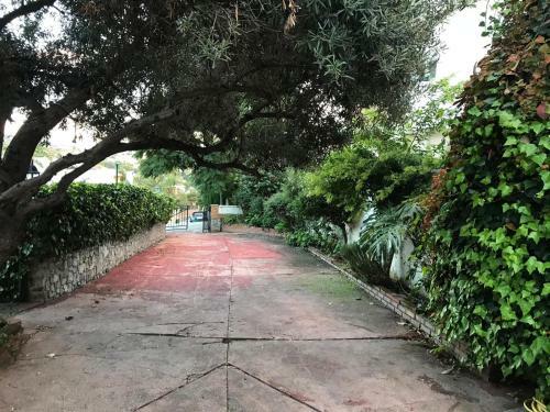 Apartamento Letmalaga Limonar Gardens
