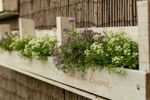 Apartamento Letmalaga Limonar Gardens