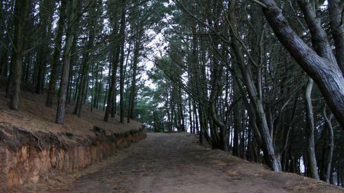 Apartamento Malpica Area Grande