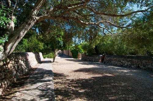 Finca Son Sureda Agroturismo