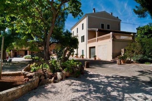 Finca Son Sureda Agroturismo