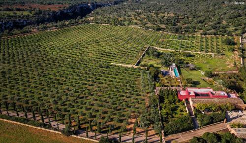 Finca Son Cifre