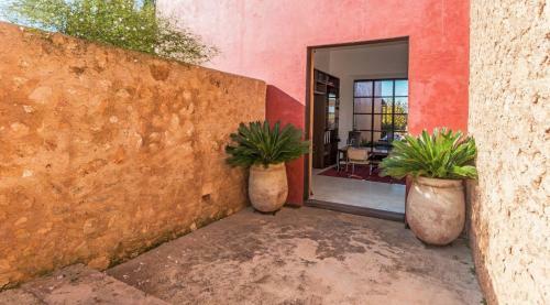Finca Son Cifre