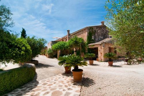 Villa Rafal Novell