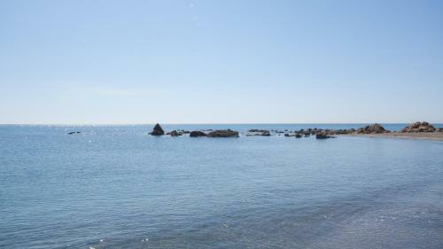 Apartamento Marina Del Castillo 126