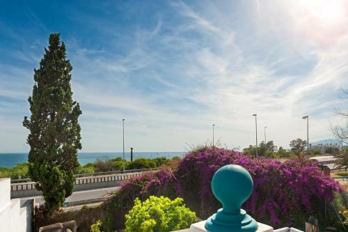 Villa Panorama Marbella Canovas