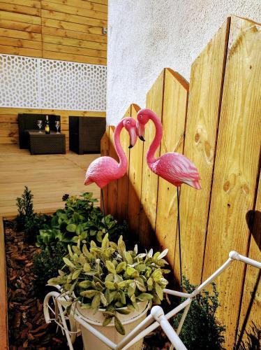 Hostal Lucero 12