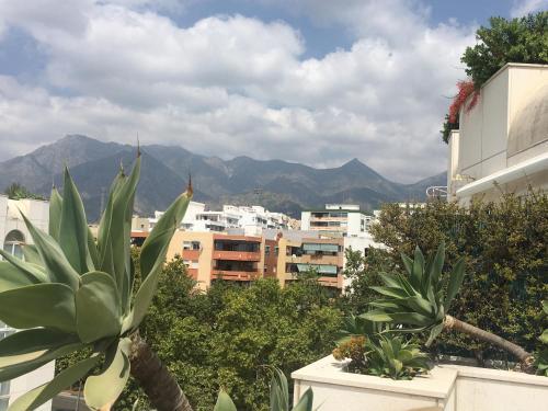 Apartamento Zambomba Beachfront Penthouse