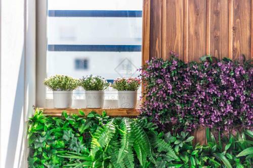 Apartamento Boulevar San Pedro 2 Dormitorios