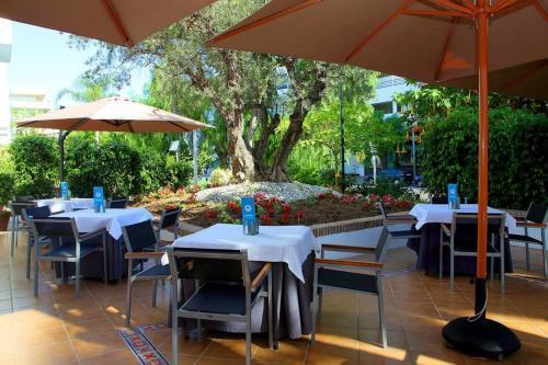 Apartamento Studio In Puerto Banus