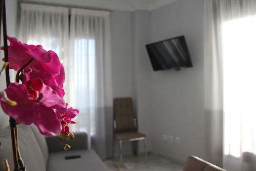 Apartamentos Marovg