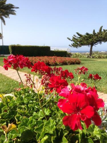 Apartamento Villa Femes