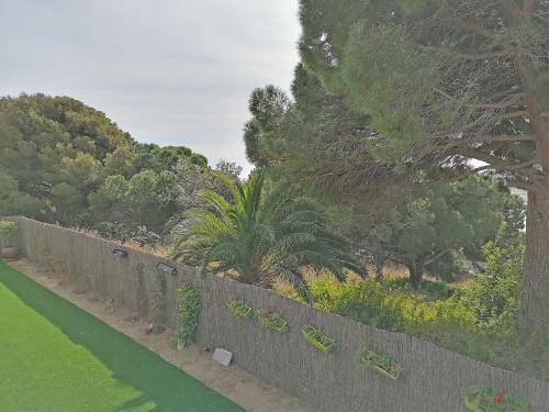 Premium Habitat Del Mol�