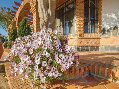 Four-bedroom Holiday Home In Medina-sidonia