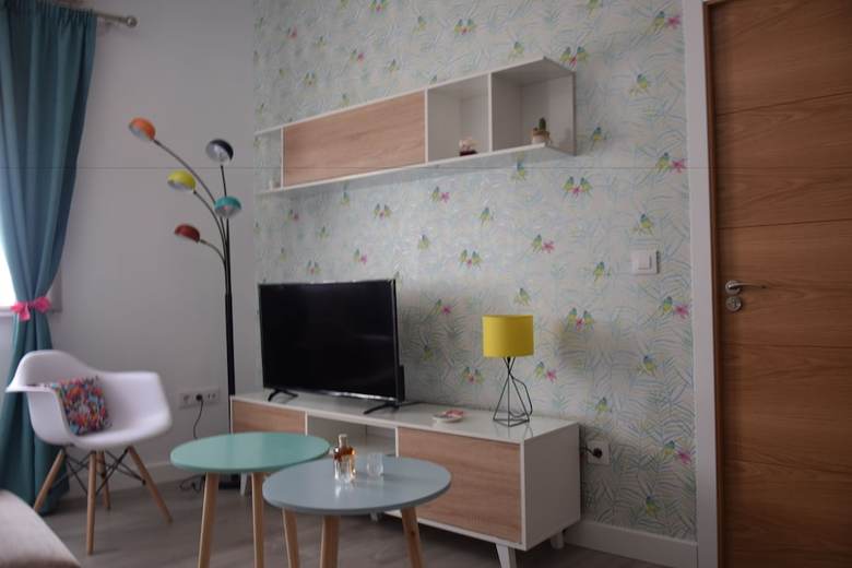 Apartamentos Coso De San Albin