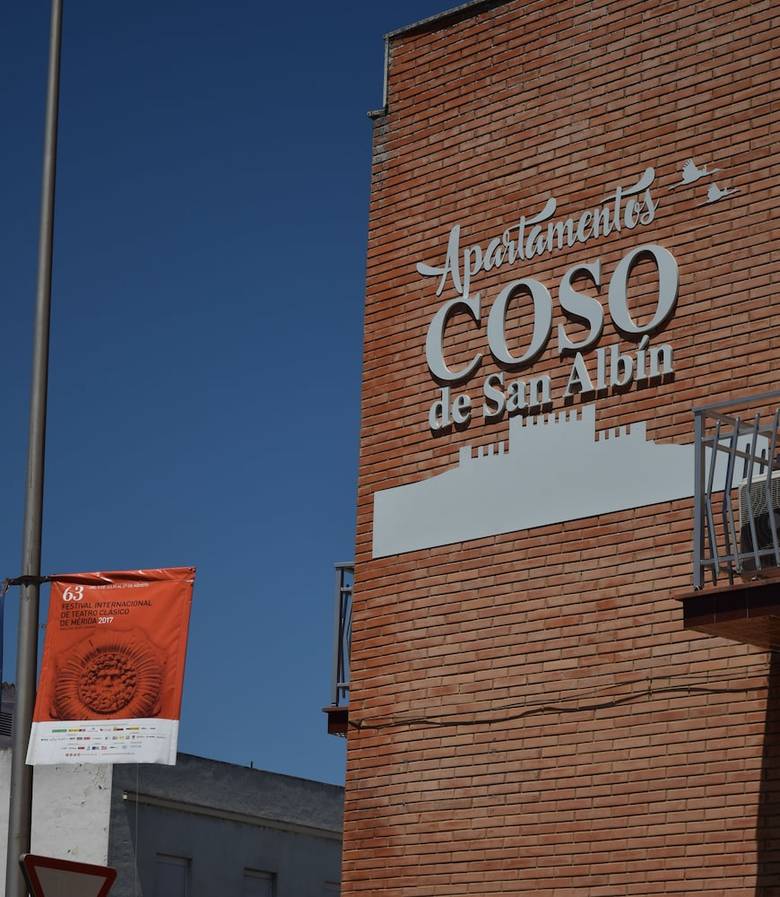 Apartamentos Coso De San Albin