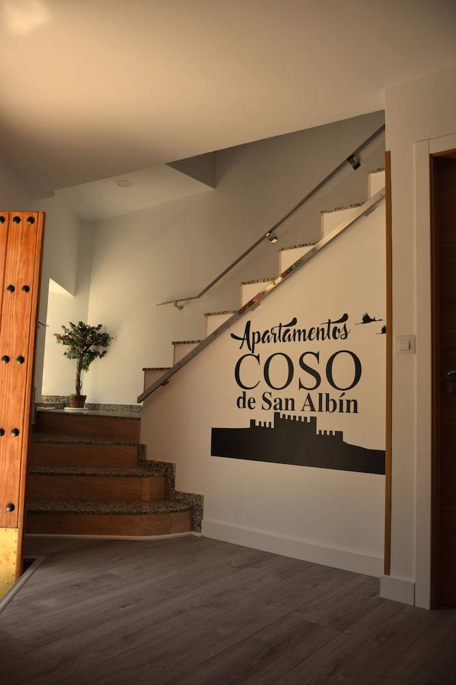 Apartamentos Coso De San Albin
